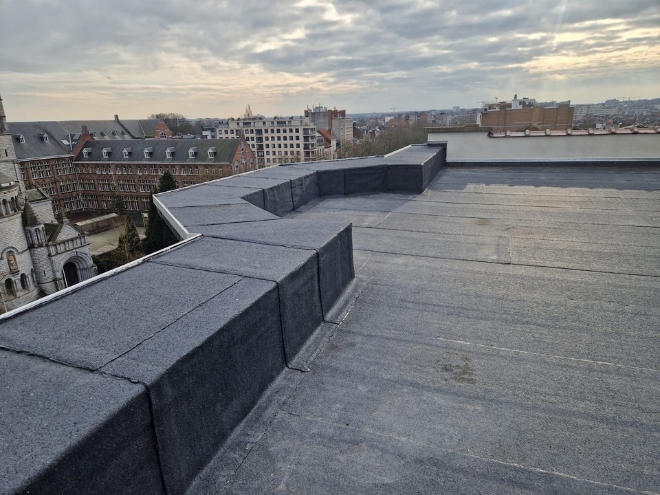 Toiture plate rénovée
